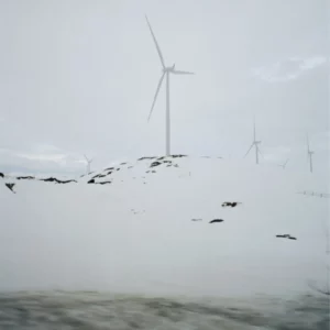 Herschel Ultralight Cinch Daypack – 14 L Moonbeam